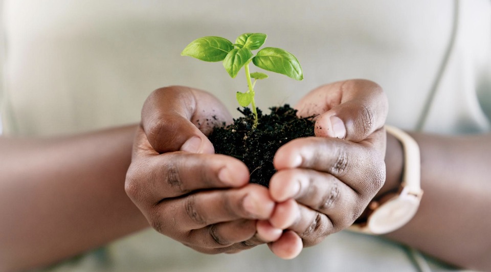Reggie Mackey Foundation community impact